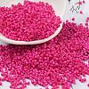 Baking Paint Glass Seed Beads X-SEED-S042-05B-68-1