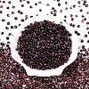 6/0 Gradient Color Glass Seed Beads SEED-N007-36K-2