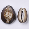 Natural Cowrie Shell Pendants SSHEL-N034-24-3