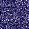 MIYUKI Round Rocailles Beads SEED-G009-RR0649-3