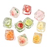 20Pcs 10 Styles Transparent Resin Cabochons RESI-CJ0005-43-8