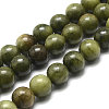 Natural Gemstone Beads Z0SRR015-1