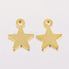 304 Stainless Steel Charms X-STAS-F162-42G-2