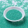 MIYUKI Round Rocailles Beads SEED-X0054-RR0572-2