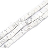 Natural Howlite Beads Strands G-K337-05-1