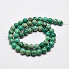 Natural Imperial Jasper Beads Strands X-G-I122-8mm-05-3