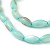 Natural Freshwater Shell Dyed Beads Strands SHEL-M018-13-4