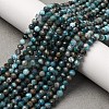 Natural Apatite Beads Strands X-G-A276-C08-4mm-01-1