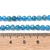 Natural Apatite Beads Strands G-Z160-A01-4mm-5