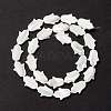 Natural Trochid Shell/Trochus Shell Beads SSHEL-O001-23B-2