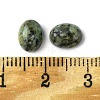 Natural African Turquoise(Jasper) Cabochons G-A094-01B-03-3