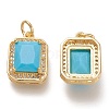 Brass Glass Charms X-ZIRC-F116-09D-G-2