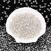 6/0 Baking Paint Transparent Fringe Glass Seed Beads X1-SEED-N006-06A-3