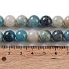 Natural Trolleite Beads Strands G-NH0002-B01-03-5
