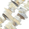 Natural Grey Agate Beads Strands G-G117-C06-01-1
