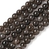 Natural Smoky Quartz Beads Strands G-G184-A04-02-1
