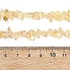 Heated Natural Citrine(Heated) Beads Strands G-K395-C01-01-5