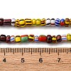Handmade Lampwork Beads Strands BLOW-K001-01A-05-3