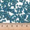 TOHO 6/0 Round Beads SEED-TR06-0167BD-2