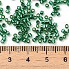 Glass Seed Beads SEED-S042-04B-28-4