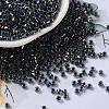 Glass Seed Beads X-SEED-S042-13A-19-1