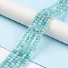 Natural Amazonite Beads Strands G-P500-01B-01-2