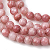 Natural Sea Shell Beads Strands SHEL-K006-74-3