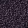 12/0 Grade A Round Glass Seed Beads SEED-N001-D-11/218-2