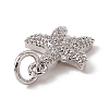 Brass Micro Pave Cubic Zirconia Charms ZIRC-F132-13P-3