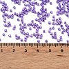 Baking Paint Glass Seed Beads SEED-S042-15B-32-4