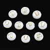 Natural Freshwater Shell Beads SHEL-S278-036U-1