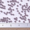 MIYUKI Round Rocailles Beads X-SEED-G007-RR0410F-4