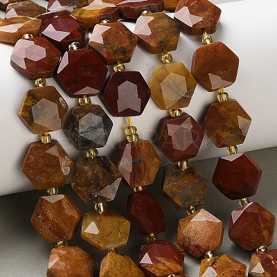 Natural Petrified Wood Beads Strands G-H344-B03-01-1