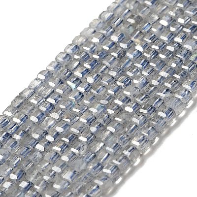 Natural Labradorite Beads Strands G-D470-07-1