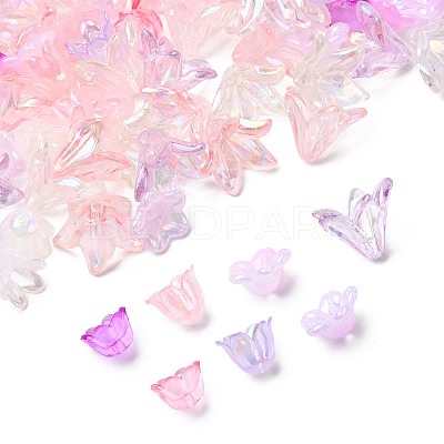 Mixed Styles Acrylic Bead Caps OACR-FS0002-50A-1
