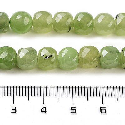 Natural Prehnite Beads Strands G-H028-A05-01-1