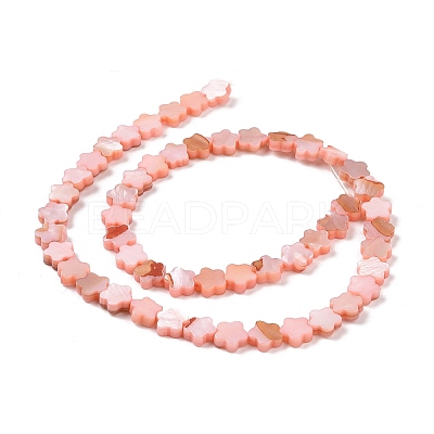 Natural Freshwater Shell Beads Strands SHEL-H002-03D-1