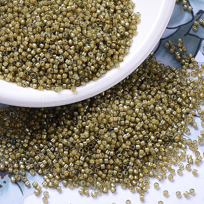 MIYUKI Delica Beads SEED-X0054-DB2046-1