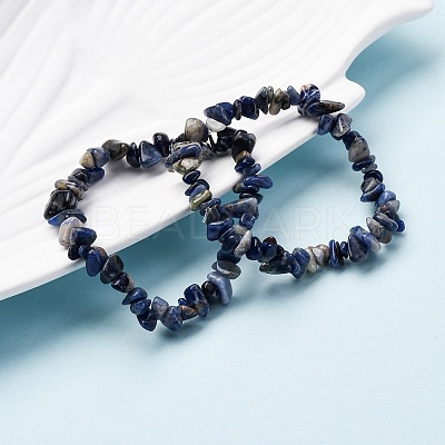 Unisex Chip Natural Sodalite Beaded Stretch Bracelets BJEW-S143-21-1