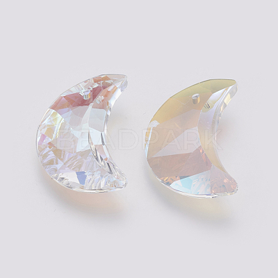 K9 Glass Rhinestone Pendants GLAA-K034-G03-1