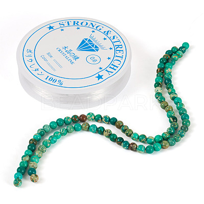 DIY Natural Regalite/Imperial Jasper/Sea Sediment Jasper Beads Bracelets Making KIts DIY-TA0002-69C-1