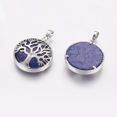 Natural Lapis Lazuli Pendants G-E388-05P-1
