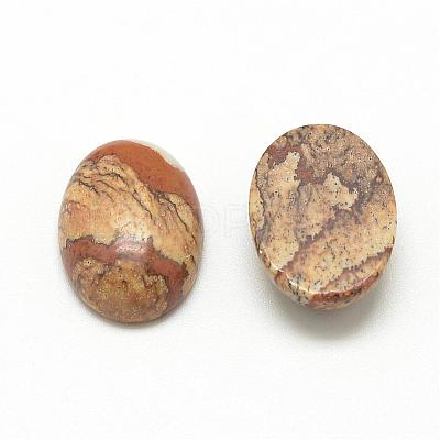 Natural Picture Jasper Cabochons G-R415-8x10-42-1