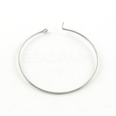 Tarnish Resistant 304 Stainless Steel Earring Hoop STAS-R083-01-1