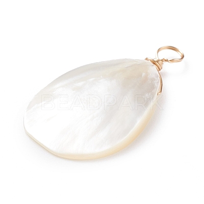 Natural Trochid Shell/Trochus Shell Pendants X-PALLOY-JF01393-1