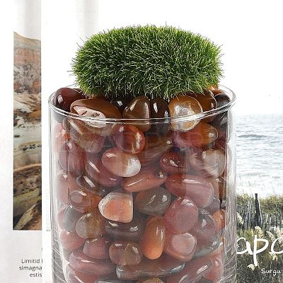 Dyed & Heated Natural Agate Beads X1-G-J402-03C-01-1