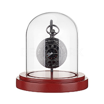 Transparent Glass Shade with Wood Base Watch Display Stand ODIS-WH0038-138-1