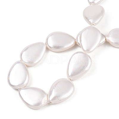 Electroplate Natural Freshwater Shell Beads Strands SHEL-R049-026A-1
