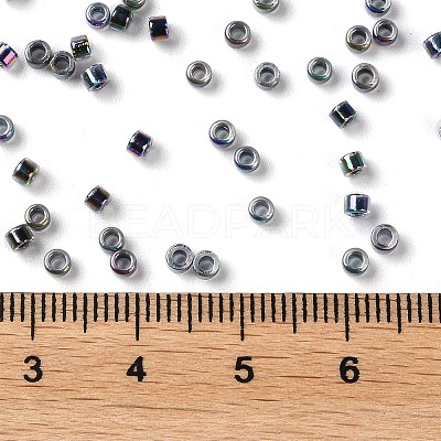 Glass Seed Beads X-SEED-S042-13A-19-1