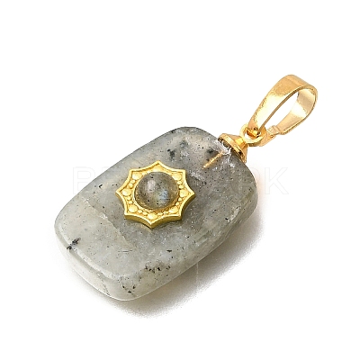 Natural Labradorite Pendants G-T151-02B-1